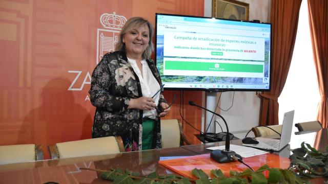 La concejala de Fondos Europeos, Transformación Digital, Prensa y Urbanismo, Ana Belén González