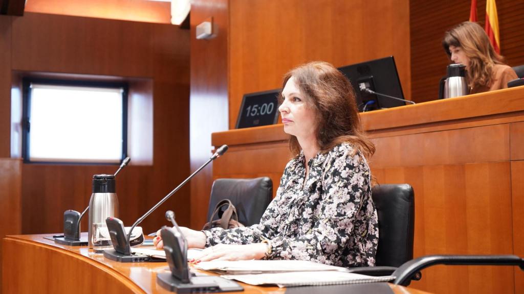 Carmen Herrarte, directora general de Comercio