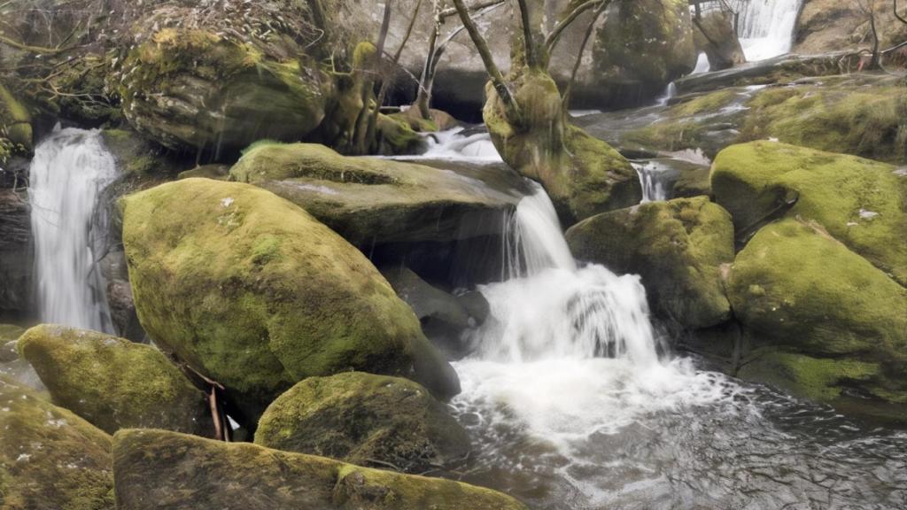 Área recreativa Cántara da Moura