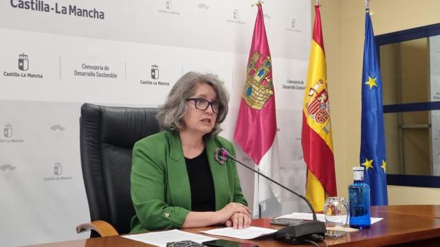 Mercedes Gómez, este viernes en rueda de prensa.