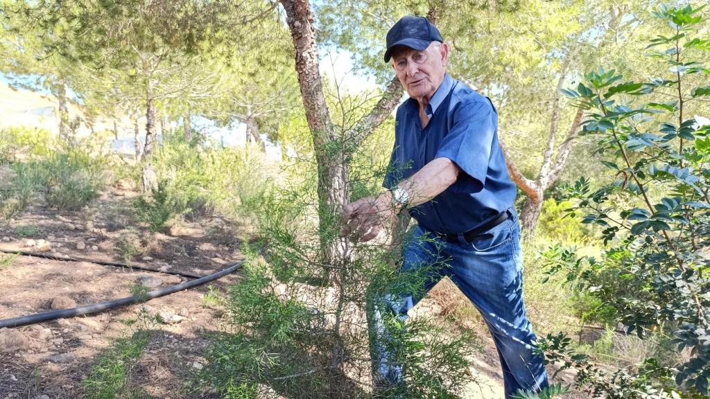 El expolicía nacional Andrés Bernabé muestra una pequeña sabina mora.