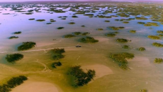 Vista de las marismas de Doñana. Foto: Wanda visión