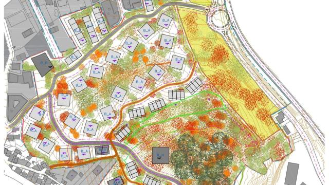 Detalle del plano de Monte Piñeiro en Miño.