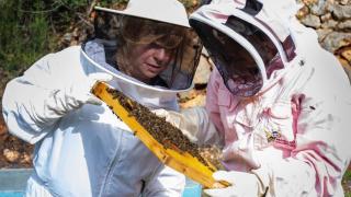 Rosa Morató y Rosa Server, en las colmenas.