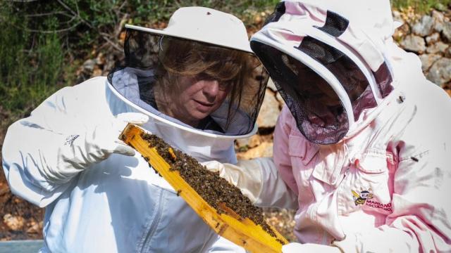 Rosa Morató y Rosa Server, en las colmenas.