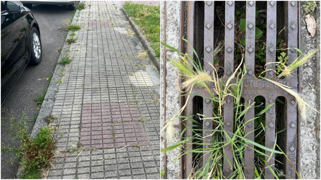 Malas hierbas en las aceras y alcantarillas