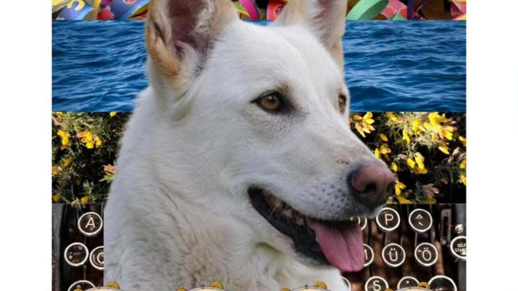 Nace en Miño (A Coruña) Calacán, una nueva editorial gallega que apuesta por voces rebeldes