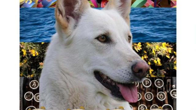 Nace en Miño (A Coruña) Calacán, una nueva editorial gallega que apuesta por voces rebeldes