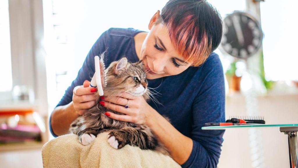 Peinar a los gatos de manera recurrente es esencial cuando hace calor.