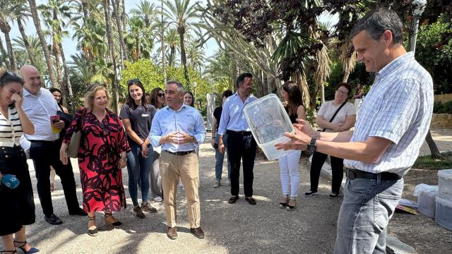 La suelta de mosquitos este lunes en Elche.