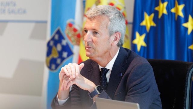 El presidente autonómico Alfonso Rueda en un Consello da Xunta.