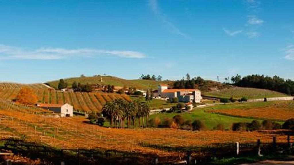 Rutas por las Rías Biaxas