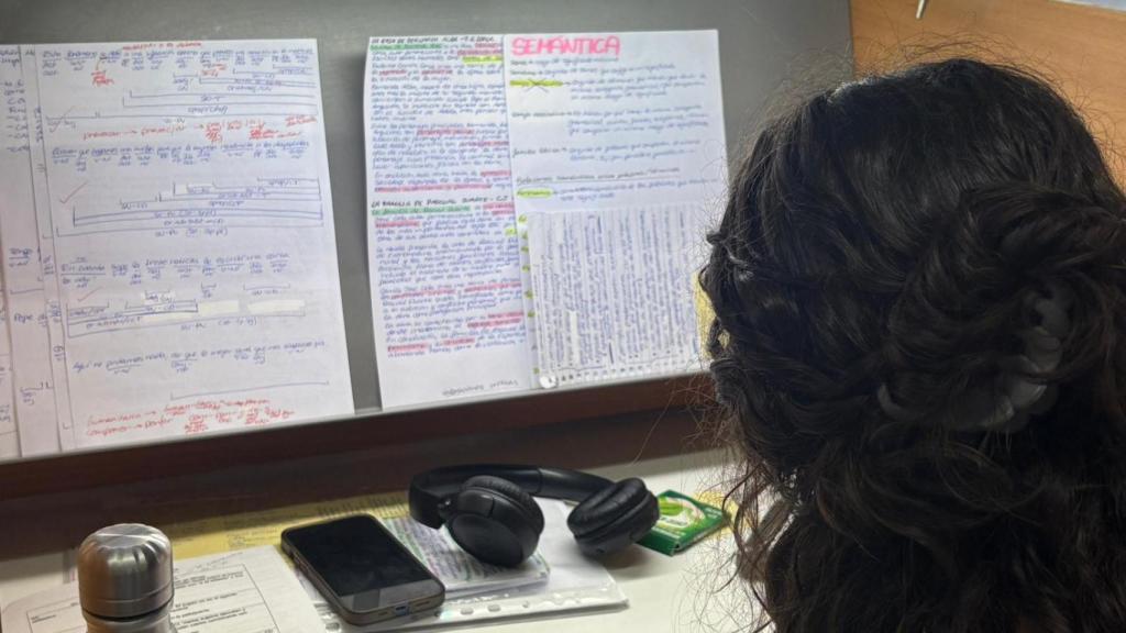 Instantánea de una chica estudiando lengua de cara a la selectividad