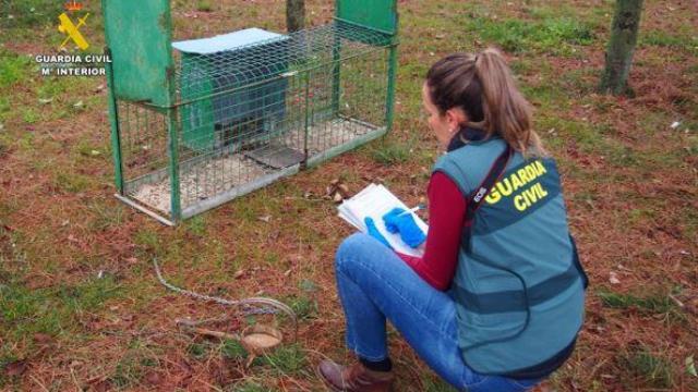 La actuación de la Guardia Civil en el lugar