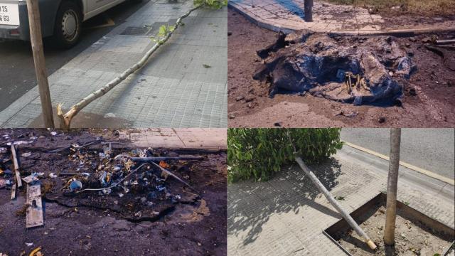 Quema de contenedores y árboles arrancados en Zamora