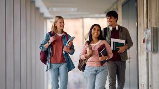 Esta es la carrera con más salidas que se puede estudiar en Alicantes, según ChatGPT: