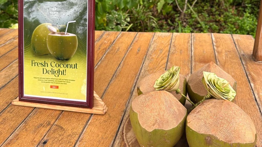 Cocos listos para tomar en Raaya by Atmosphere.