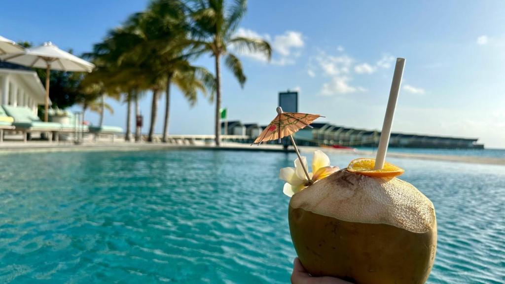 Coco fresco con las mejores vistas.