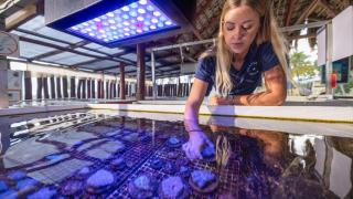 Macarena Blanco, coordinadora científica del Grupo Iberostar, en el Coral Lab que puso en marcha en Punta Cana.