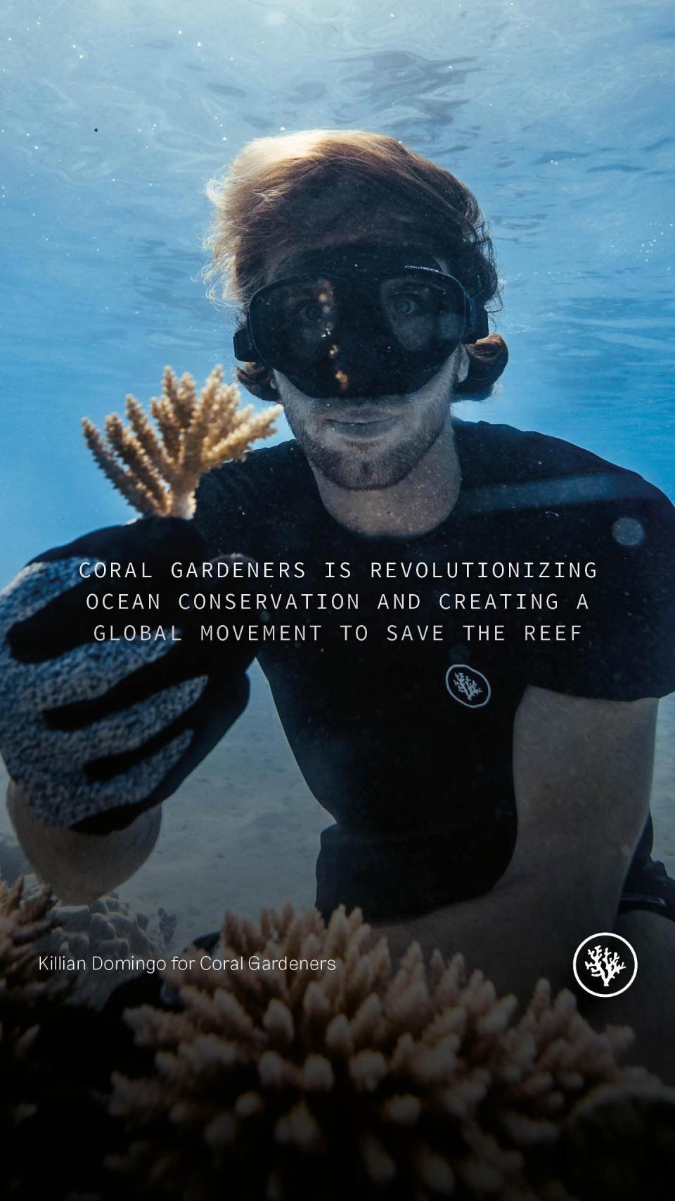 Coral Gardeners ha revolucionado la conservación y el trasplante de corales.