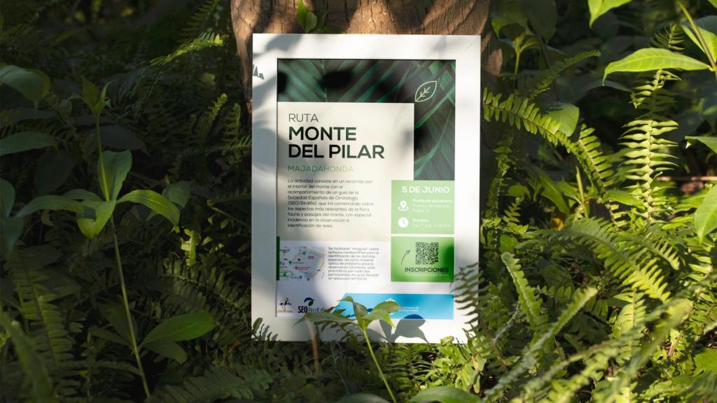 El Ayuntamiento celebra el Día del Medioambiente