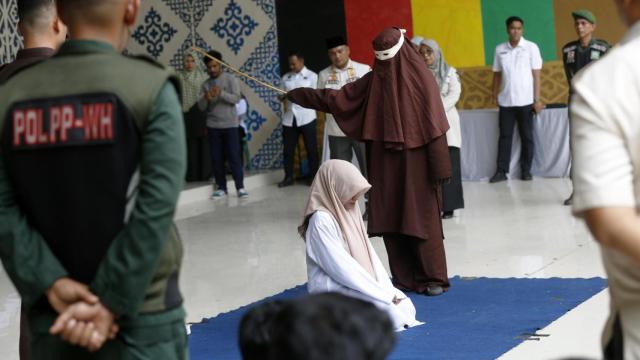 f4729746273ee4e5a4379d360df345a72c80f25cw