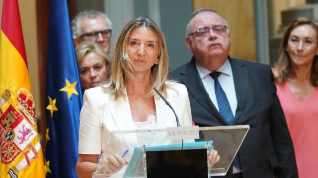La portavoz del PP en el Senado, Alicia García, junto al consejero de Sanidad de la Junta de Castilla y León, Alejandro Vázquez, este miércoles en la Cámara Alta