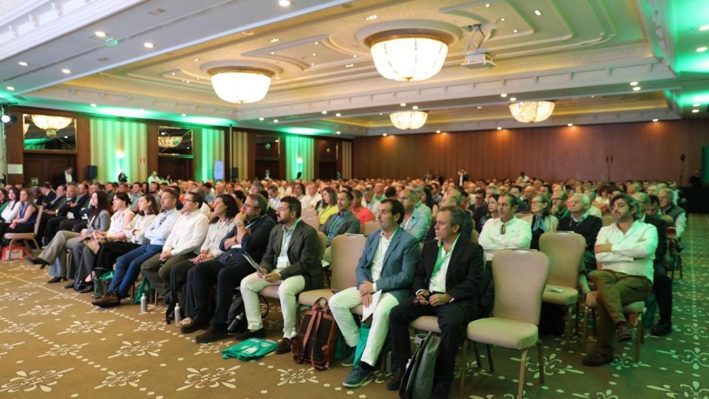 Pistadica 2025 en Toledo.