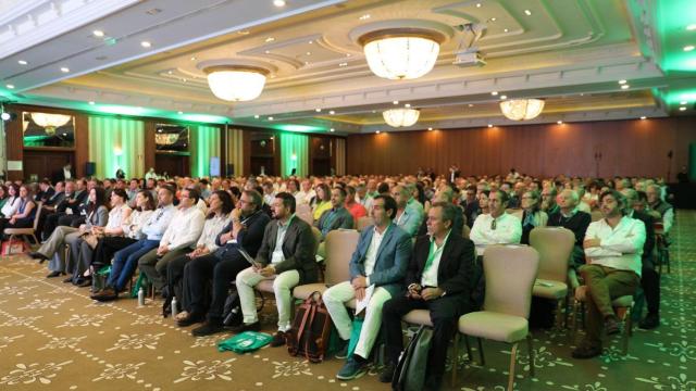 Pistadica 2025 en Toledo.