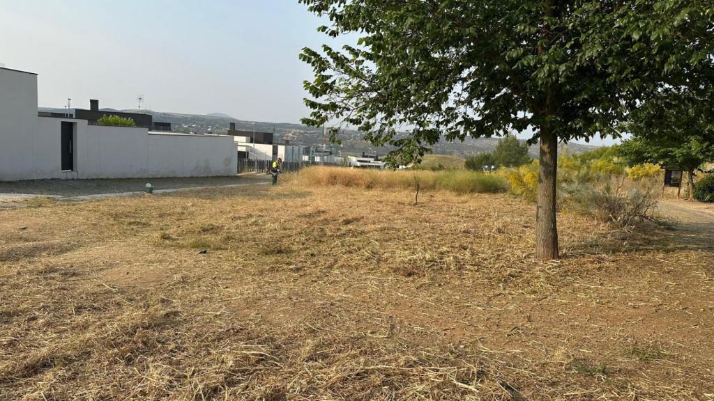 Zona limpiada tras el incendio.