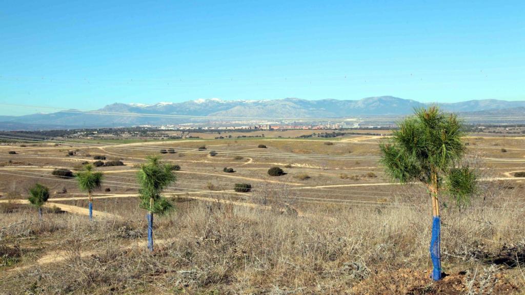 Terrenos del antiguo vertedero de Alcobendas en el que se va a desarrollar un parque forestal de 18 hectáreas.