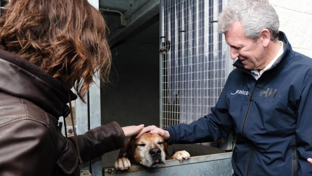Alfonso Rueda visitando un refugio canino.