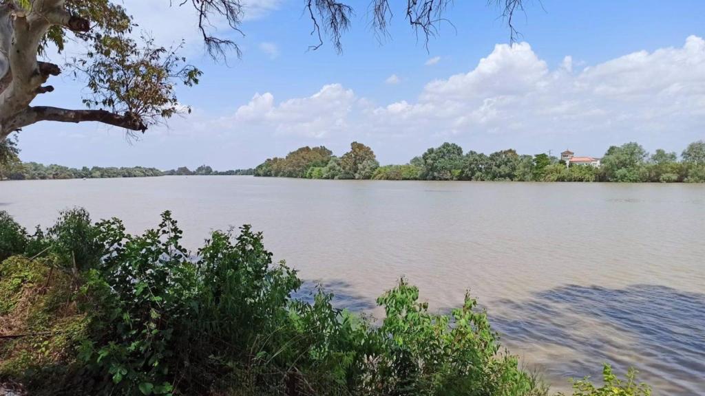 Imagen de archivo del curso bajo del Guadalquivir.