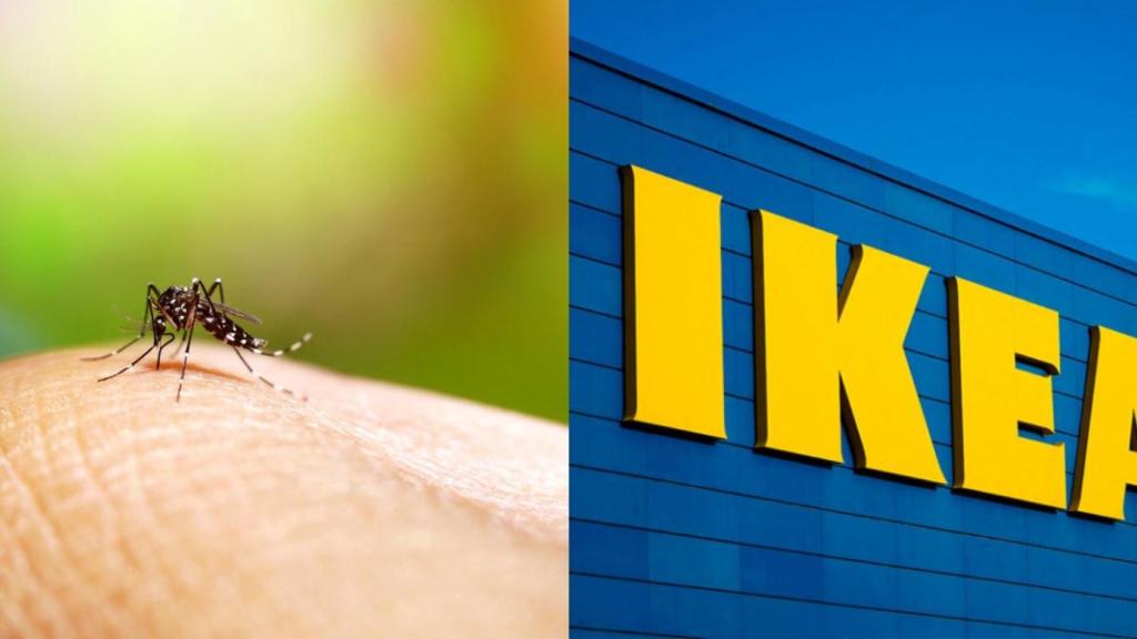Mosquitera de Ikea.