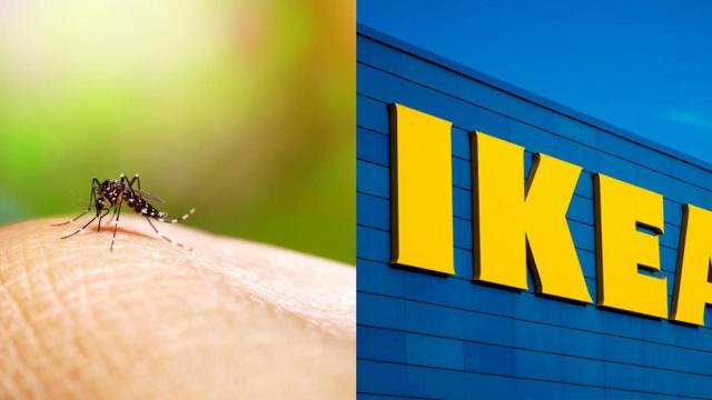 Mosquitera de Ikea.