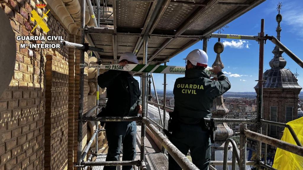 El Seprona trabajando en la zona donde han sido halladas las cuatro crías de cernícalo vulgar