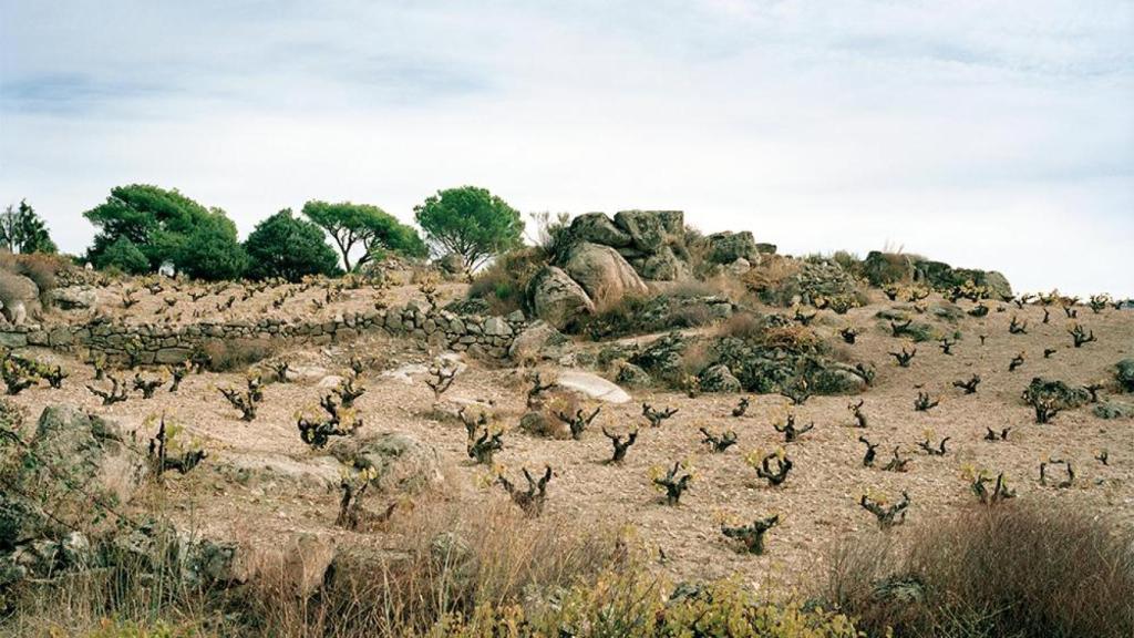 Finca La Piñonera de Carlos Sainz en Cebrero (Ávila)