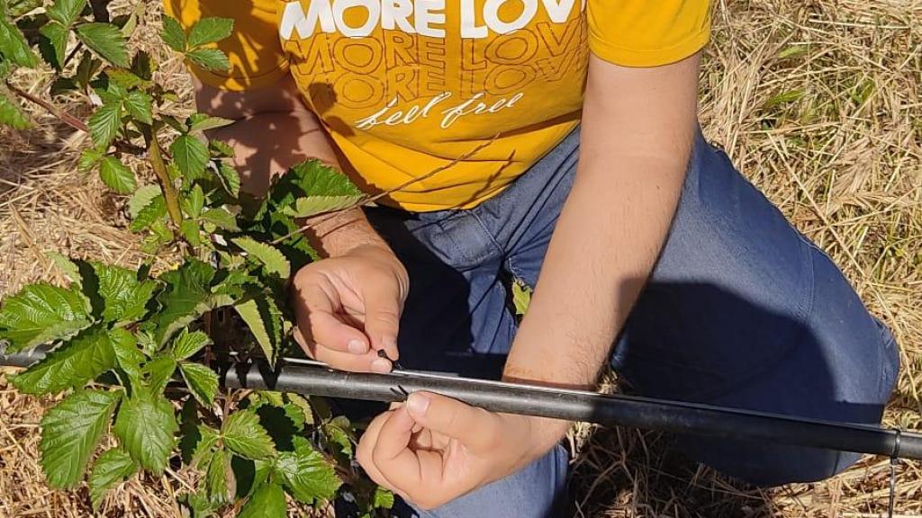 Maria Elena en Agroberry