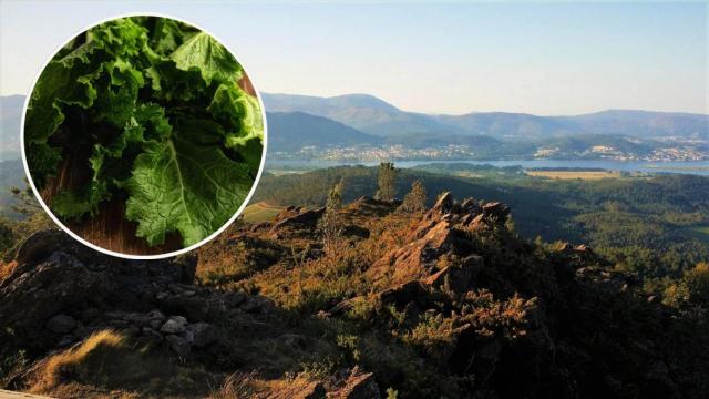 El desconocido pueblo a 1 hora de Vigo donde se come muy bien