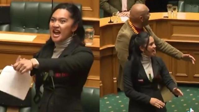 Los diputados protestaron así en el Parlamento de Nueva Zelanda.