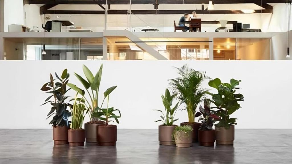 Varios modelos de las macetas e hidrojardineras de Hobby Flower