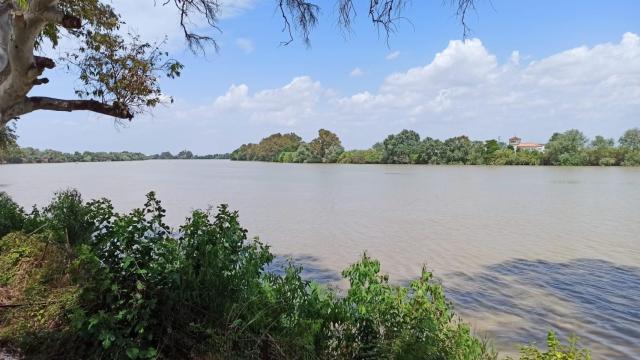 El curso bajo del Guadalquivir.
