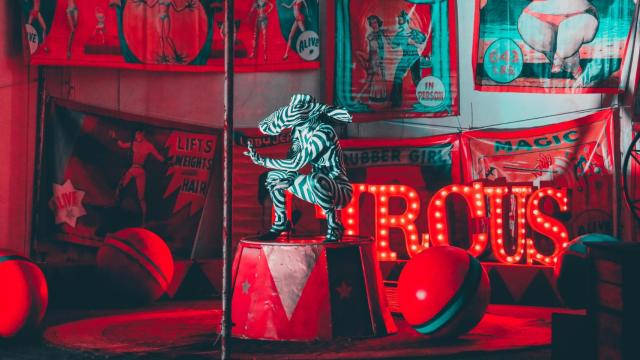 El secreto de la innovación