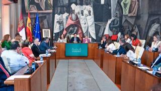 Pleno de la Diputación de Ciudad Real.