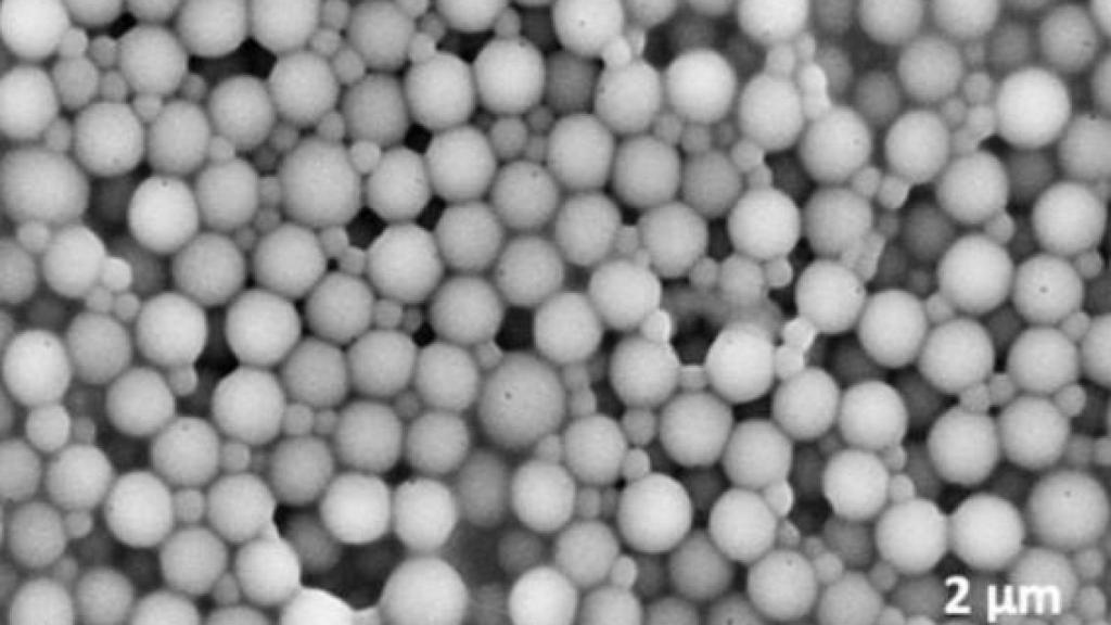 Los sistemas sintéticos que ha desarrollado Pérez Mercader, vistos desde un microscopio electrónico de barrido.