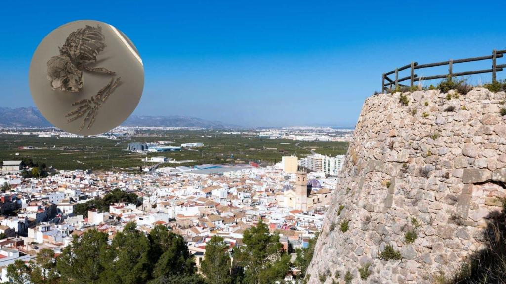 Vistas del municipio valenciano de Oliva desde el Castillo de Santa Ana. Turisme CV