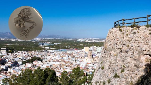 Vistas del municipio valenciano de Oliva desde el Castillo de Santa Ana. Turisme CV