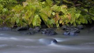 Río Landro en Viveiro (Lugo).