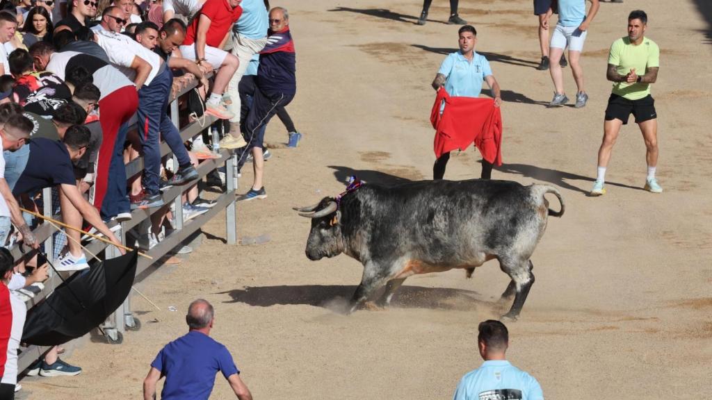 El encierro de este sábado en Medina del Campo