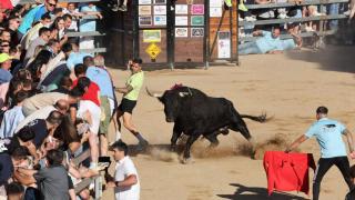 Uno de los toros en Medina del Campo